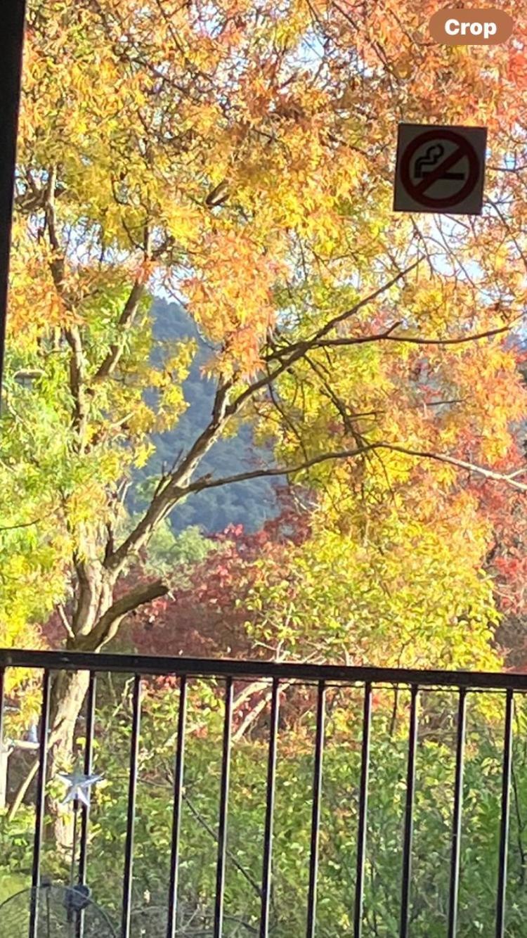 Yarra Ranges Country Apartment Mount Evelyn Dış mekan fotoğraf