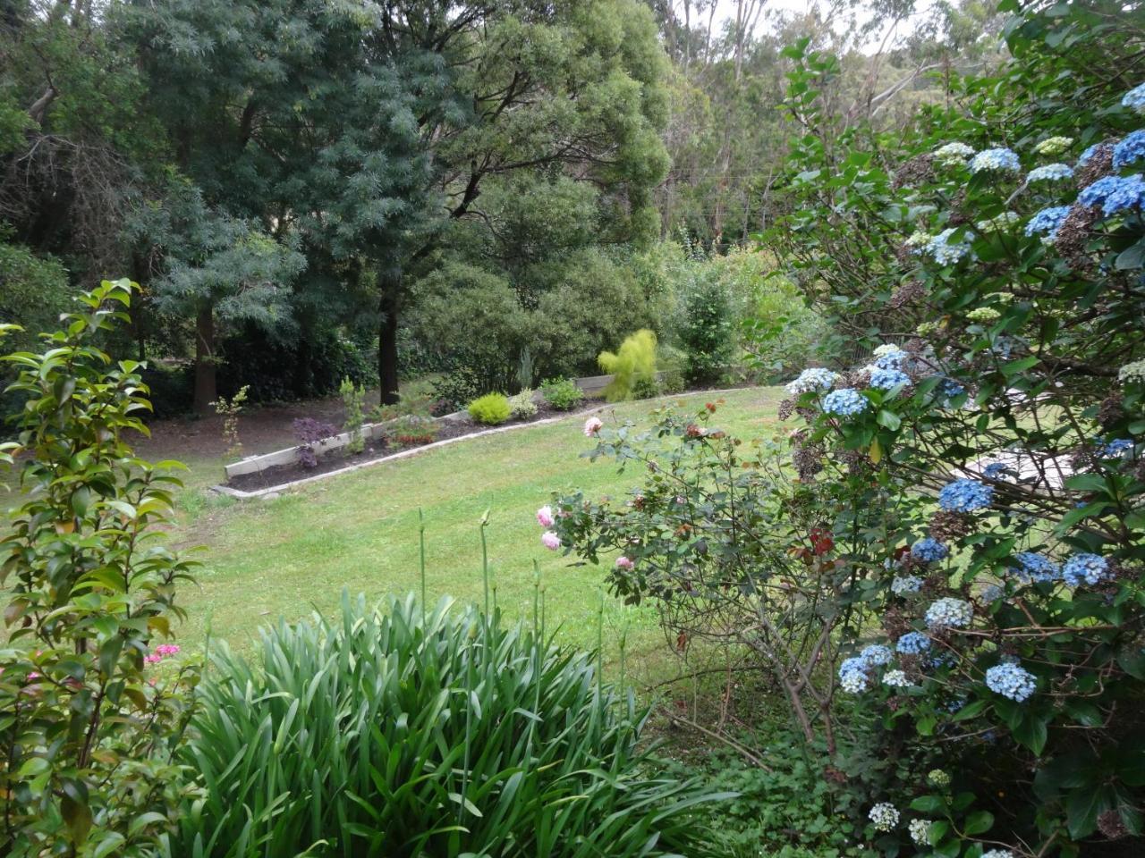 Yarra Ranges Country Apartment Mount Evelyn Dış mekan fotoğraf