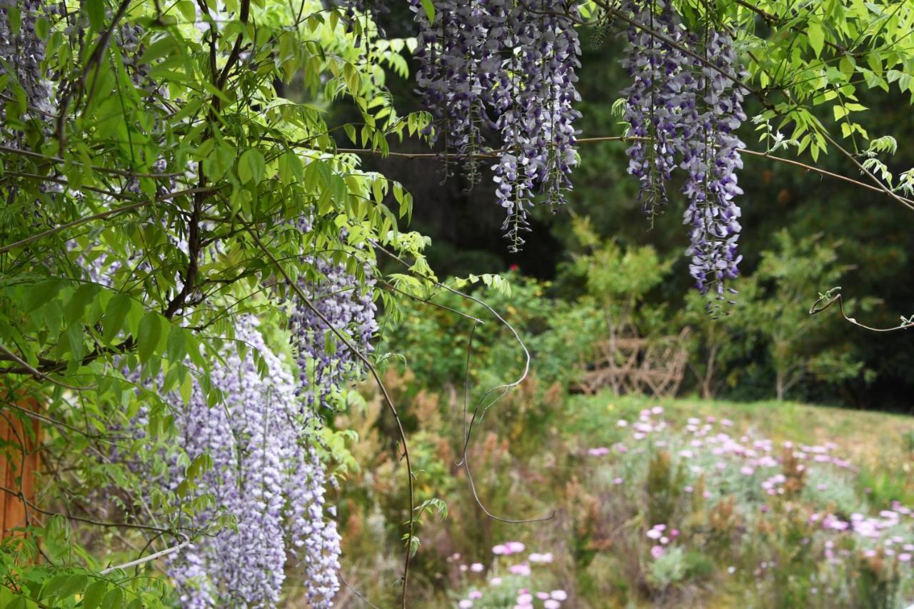 Yarra Ranges Country Apartment Mount Evelyn Dış mekan fotoğraf