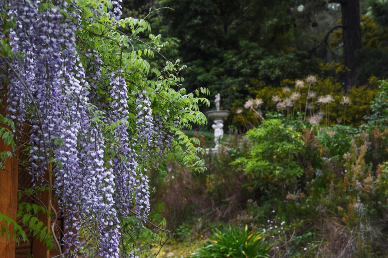 Yarra Ranges Country Apartment Mount Evelyn Dış mekan fotoğraf