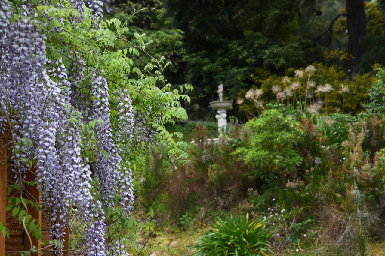 Yarra Ranges Country Apartment Mount Evelyn Dış mekan fotoğraf